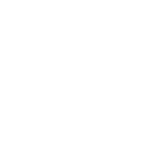 iconoB