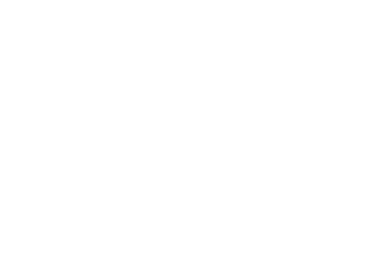 Finantiare carrusel