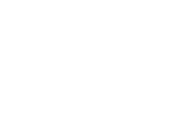 HRFalcon carrusel