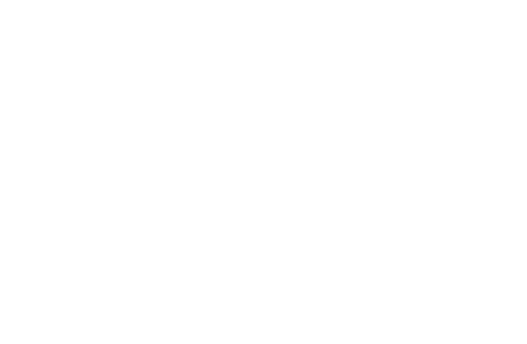 Finansers